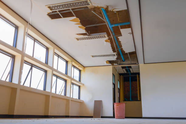 Best 24/7 water damage repair  in Millvale, PA