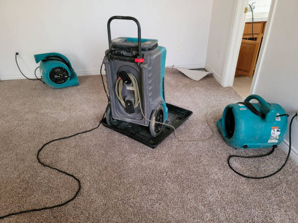 Best Residential water damage restoration  in Millvale, PA