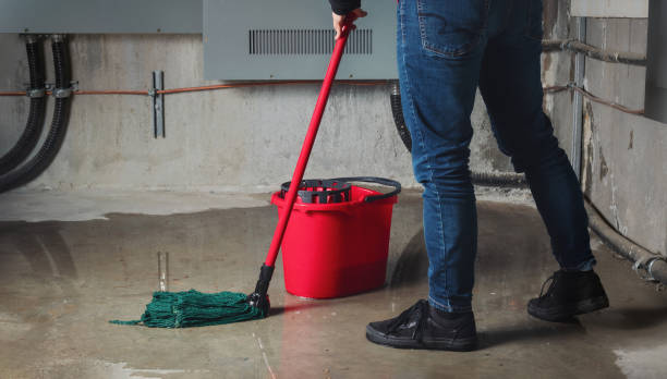 Best Flood damage cleanup  in Millvale, PA
