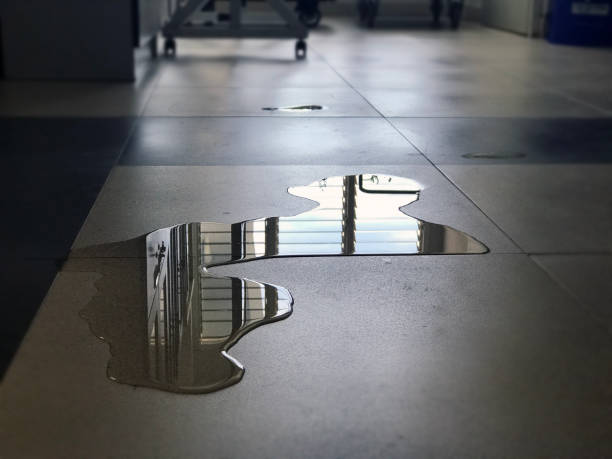 Best Water damage repair service  in Millvale, PA
