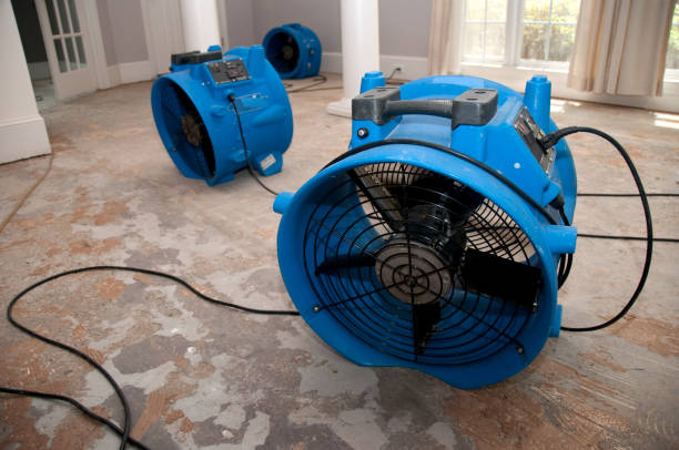 Best Local water damage restoration  in Millvale, PA
