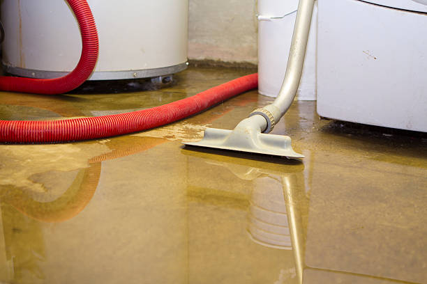 Best Local water damage restoration  in Millvale, PA