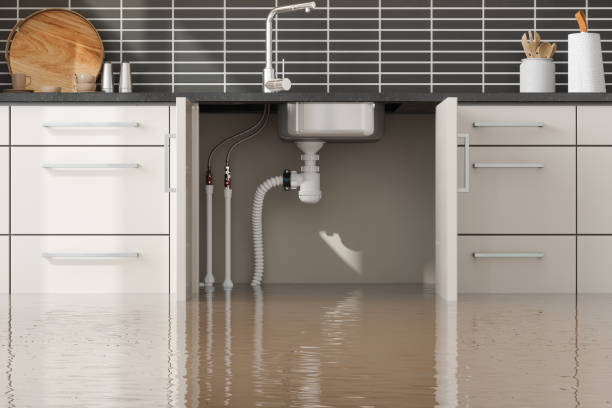 Best Commercial water damage restoration  in Millvale, PA