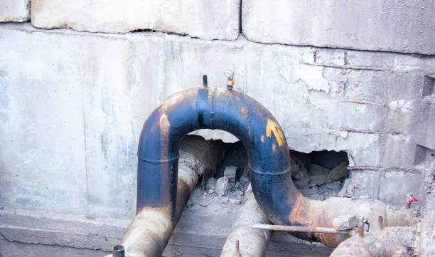 Best Water damage restoration near me  in Millvale, PA