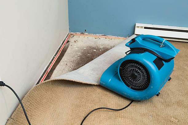 Best Flood restoration services  in Millvale, PA