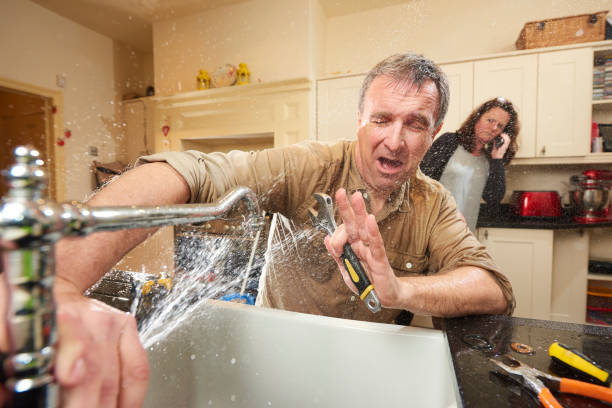 Best Water damage contractors near me  in Millvale, PA